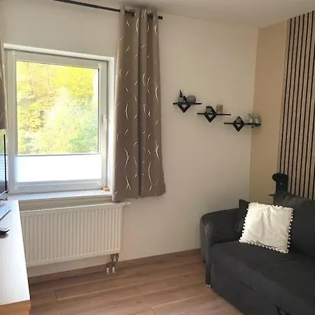 Ferienwohnung Carpe Diem Apartment Bad Harzburg
