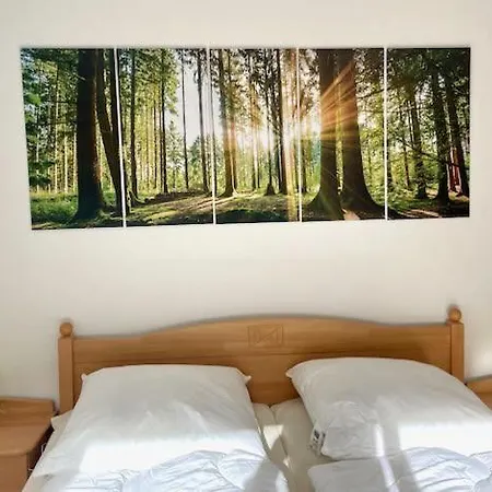 Carpe Diem Апартаменты Бад-Гарцбург